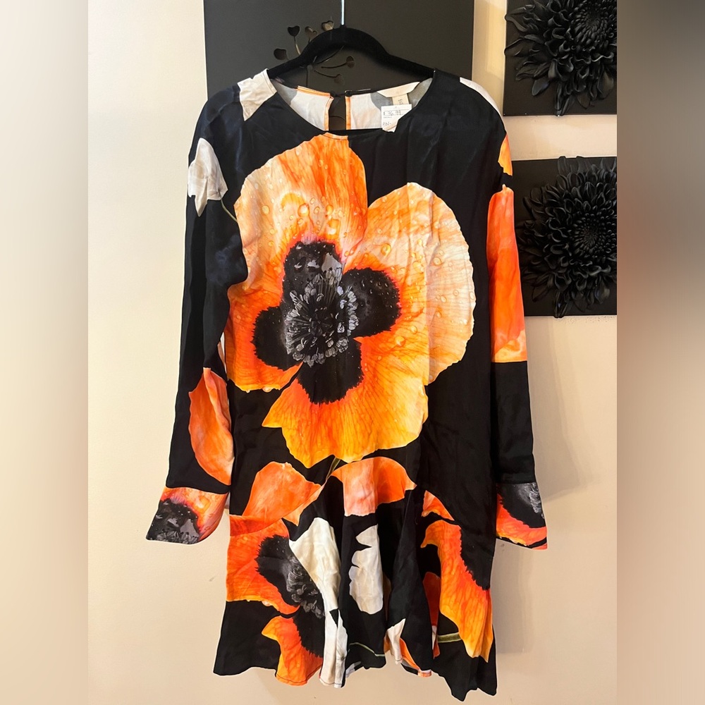 H&M Poopy dress. Flutter skirt with long sleeves and zipper back